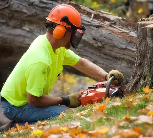 tree services Negaunee